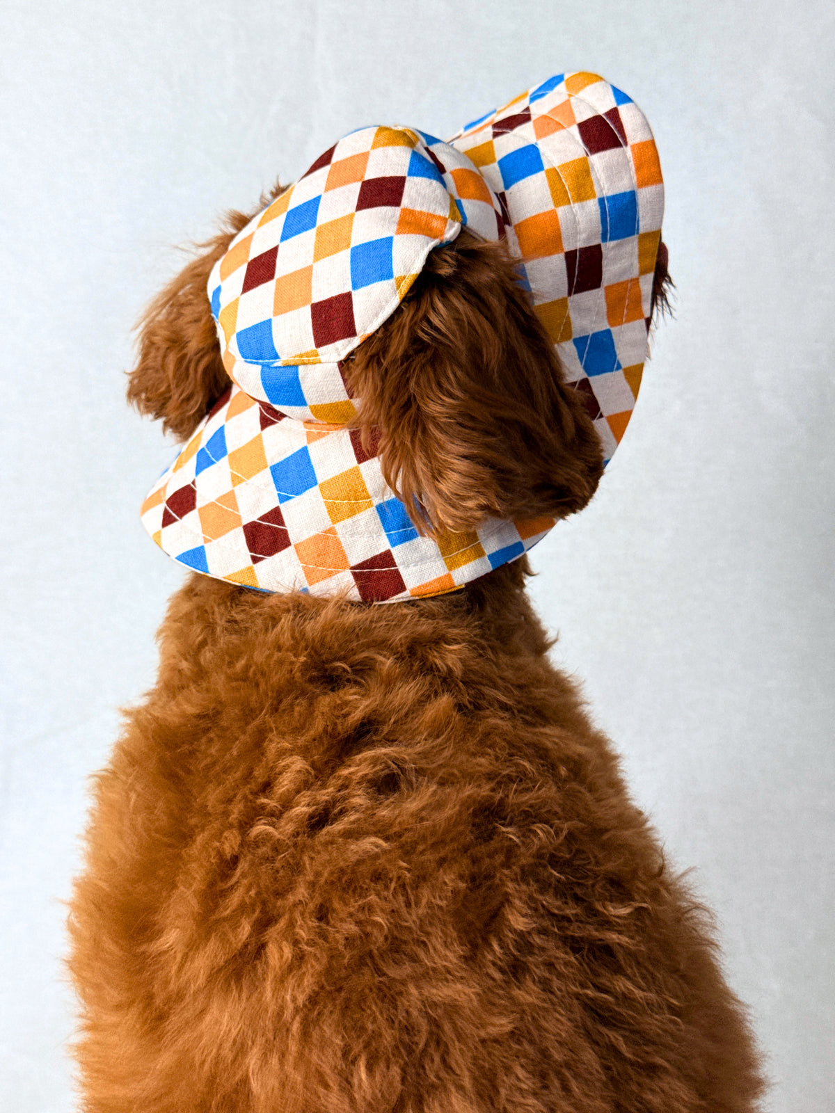 A small brown dog wearing a colorful diamond-patterned sun hat with an orange chin strap, sitting against a plain white backdrop.