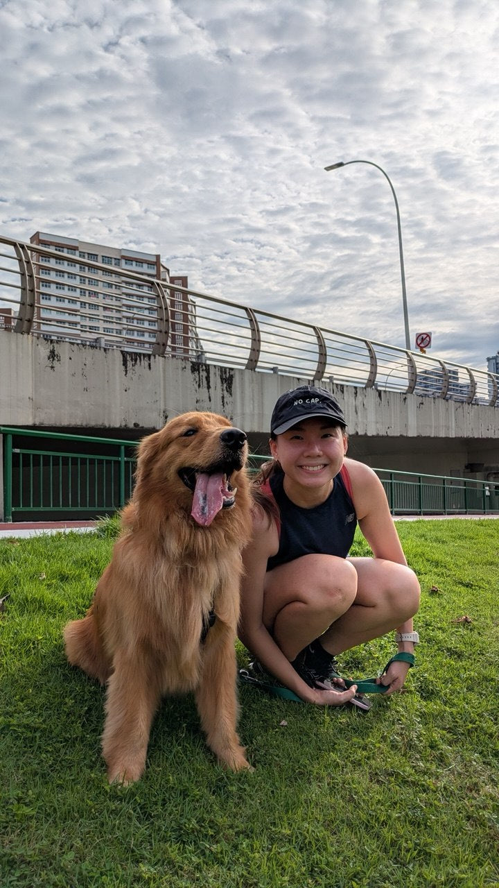 Human and golden retriever in a photo
