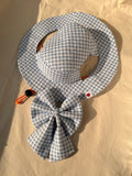 Classic Blue Gingham Set for Girl Dogs