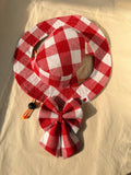 Red Statement Gingham Set for Girl Dogs