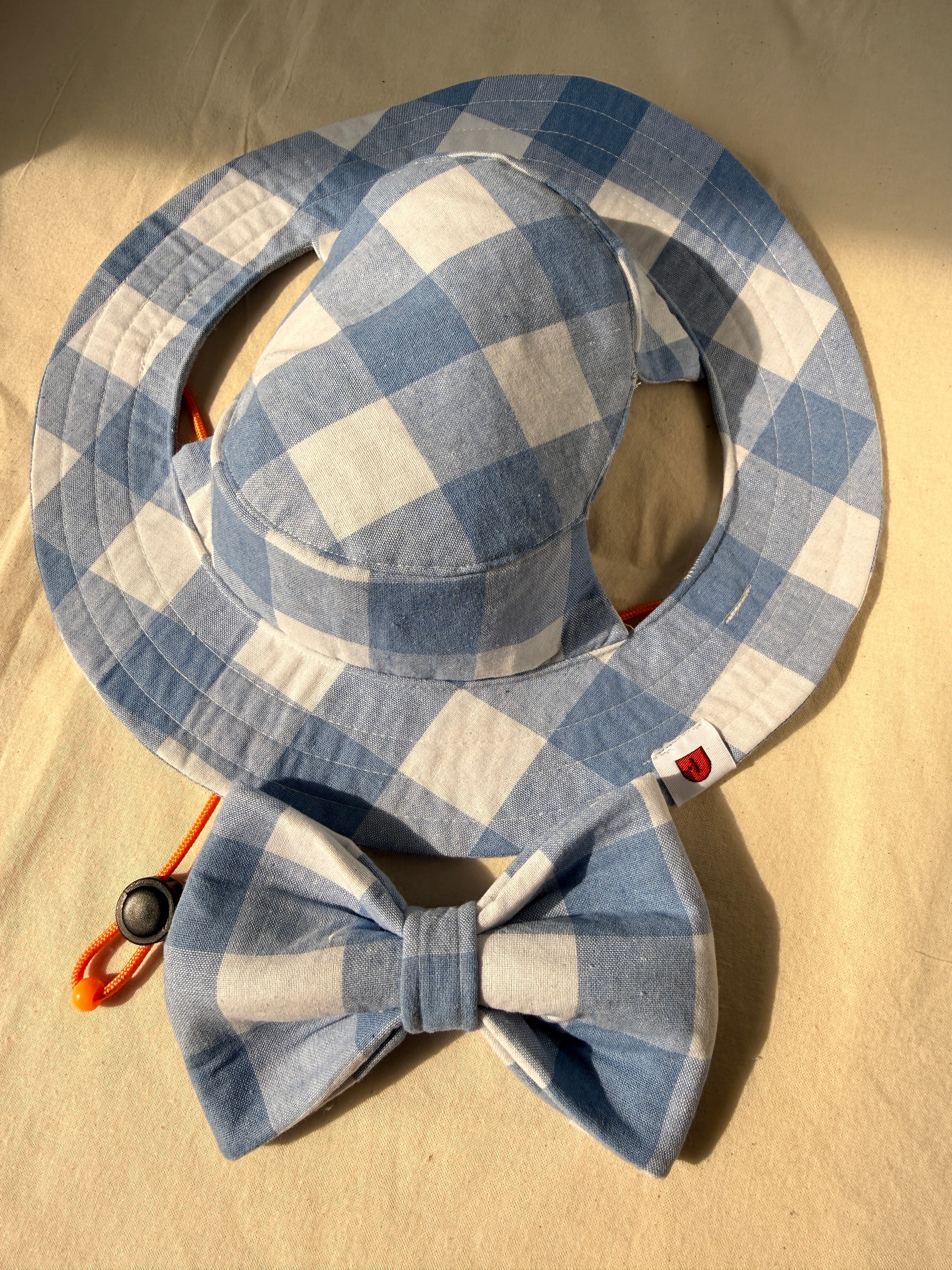 Blue Statement Gingham Set for Boy Dogs