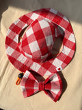 Red Statement Gingham Set for Boy Dogs