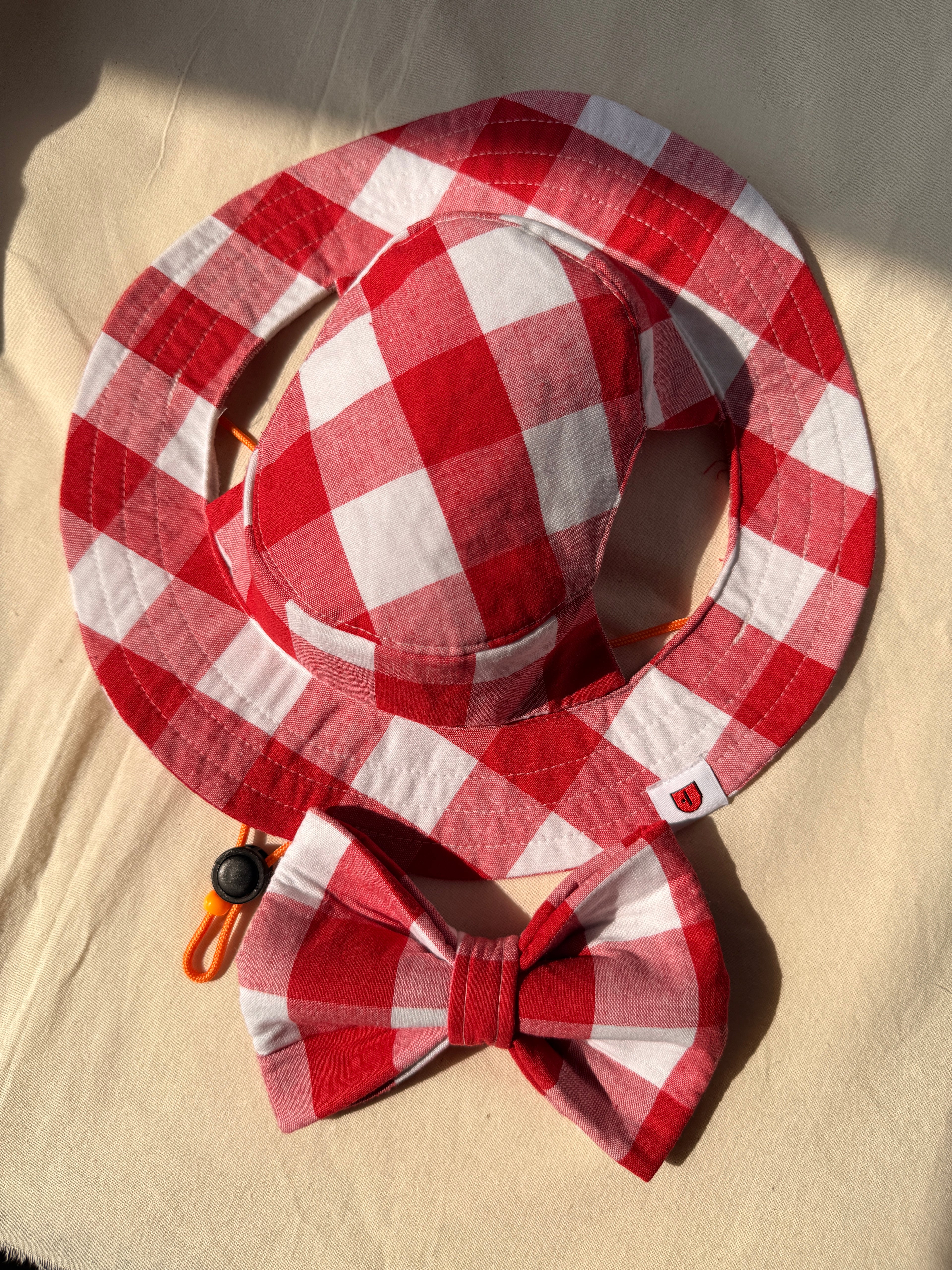 Red Statement Gingham Set for Boy Dogs
