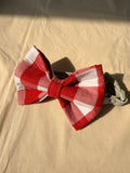 Statement Gingham Bow Tie
