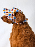 A small brown dog wearing a colorful diamond-patterned sun hat with an orange chin strap, sitting against a plain white backdrop.