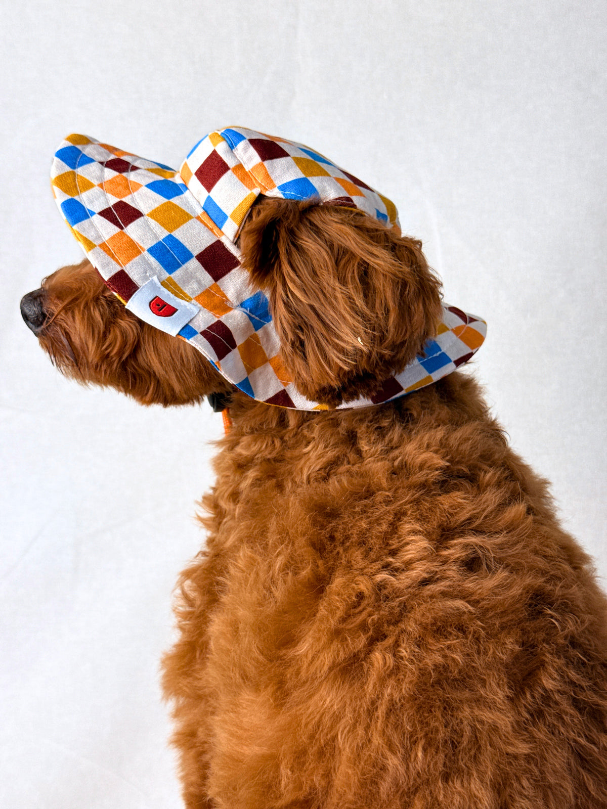A small brown dog wearing a colorful diamond-patterned sun hat with an orange chin strap, sitting against a plain white backdrop.