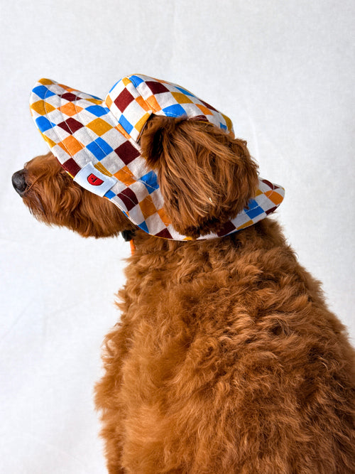 A small brown dog wearing a colorful diamond-patterned sun hat with an orange chin strap, sitting against a plain white backdrop.